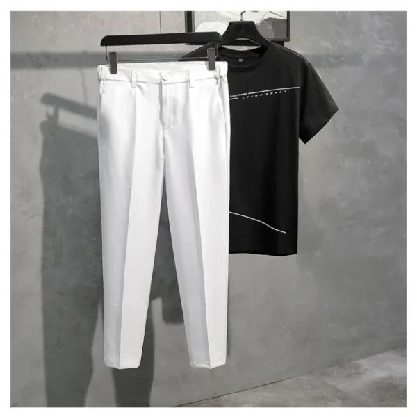 Fashionable straight tube loose small suit pants for men's summer thin and versatile drape elastic casual business pants - Image 5